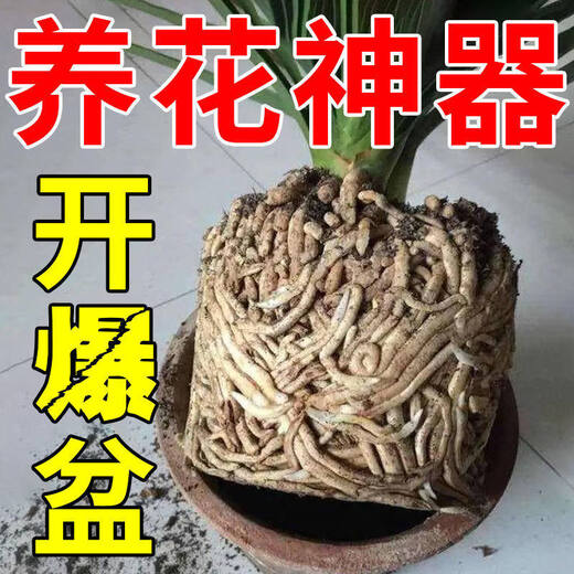 Heartbeating sound soil activator black water fertilizer universal loose soil intensive flower plant compaction loosening improved soil activation treasure loose soil essence 500g*1 bag