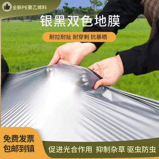 Gefuya Mulch Weeding Cloth Silver and Black Two-color Thickened Mulch Film for Agricultural Vegetable Planting Insect-proof Film Insulation and Moisturizing Plastic Film 20Jin Jin is equal to 0.5kg Silver Black 2s 18 meters wide 230 meters long for field use and can be trampled