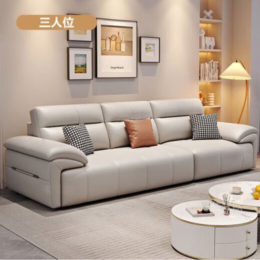 Jianxin genuine leather sofa living room 2025 new small apartment straight-row sofa modern simple leather sofa 868
