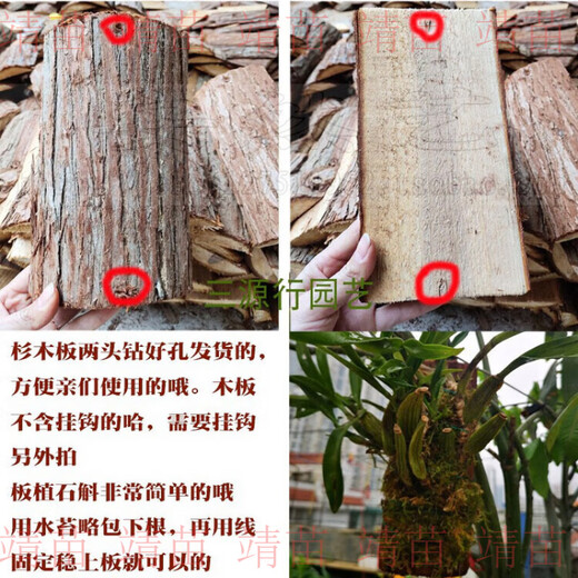 Dendrobium hanging planting, fir bark board, fir board, fir board instead of snake board, special planting for dendrobium, fir board 50x9-10cm, 3 boards, holes drilled at both ends with wire hooks