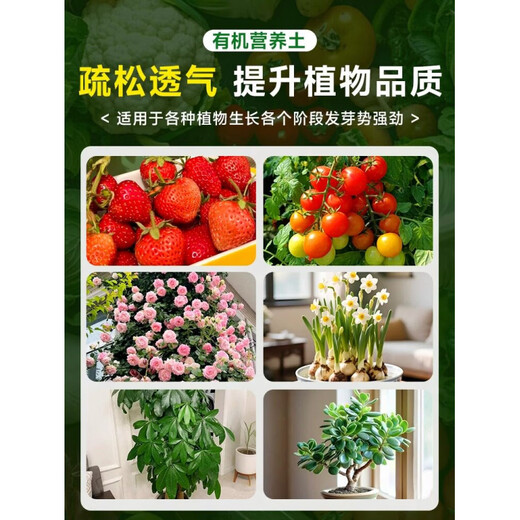 Flower soil nutrient soil for flower cultivation, general vegetable planting soil, household type flower soil, loose and breathable strawberry succulent nursery soil, general organic nutrient soil 30 Jin Jin is equal to 0.5 kg