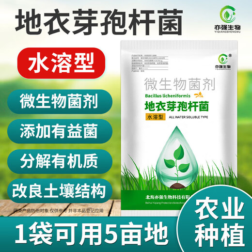 Yong Huan Water-Soluble Bacillus Licheniformis Soil Fertilizer Fertilizer Effective Microbial Bacteria Planting Repeated Crop Dissolving Bacteria Fully Water-soluble 500g/pack*5 packs