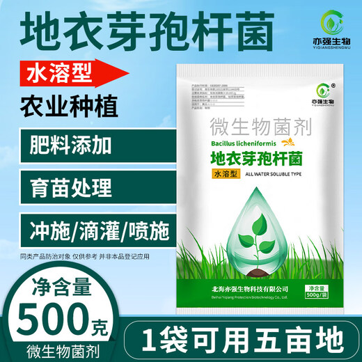 Yong Huan Water-Soluble Bacillus Licheniformis Soil Fertilizer Fertilizer Effective Microbial Bacteria Planting Repeated Crop Dissolving Bacteria Fully Water-soluble 500g/pack*5 packs
