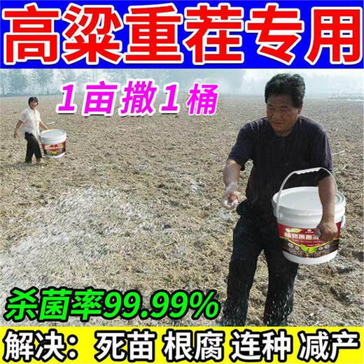 Cat sorghum field anti-heavy cropping soil-borne disease agent is sprayed directly to condition the soil to resist heavy stubble and solve root rot. Sorghum soil agent_sorghum field anti-heavy cropping 3 barrels