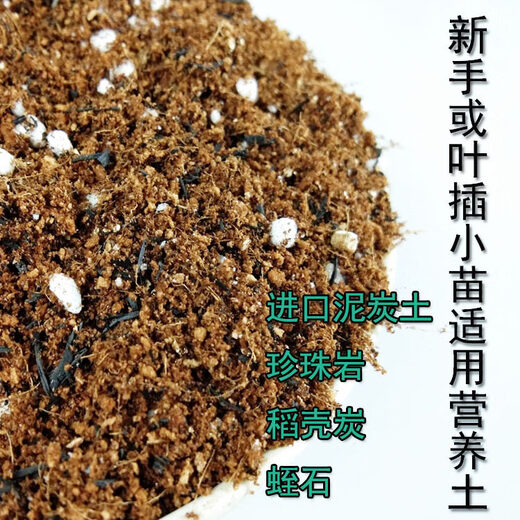 Succulent soil special granular nutritional soil meat deer swamp soil flower cultivation peat tung raw sand sunrise stone old pile master soil leaf inserting seedlings suitable nutritional soil 5Jin Jin is equal to 0.5 kg