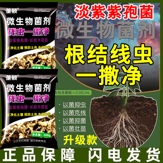 垄颖根结线虫专用药根腐病根线净淡紫紫孢菌淡紫拟青霉根腐根瘤冲施肥 【10袋装】量大更优惠