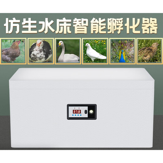 CLCEY chick incubator fully automatic 2024 small household smart chicken, duck, goose, pigeon, rutin, quail egg incubator 104 pieces fully automatic single electric color screen dual display + six modes