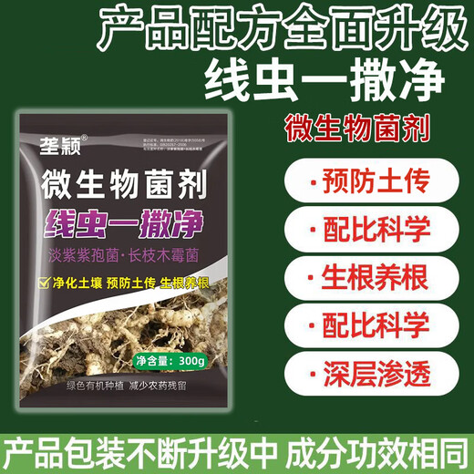 垄颖根结线虫专用药根腐病根线净淡紫紫孢菌淡紫拟青霉根腐根瘤冲施肥 【10袋装】量大更优惠