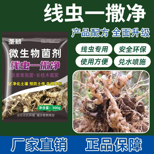 垄颖根结线虫专用药根腐病根线净淡紫紫孢菌淡紫拟青霉根腐根瘤冲施肥 【10袋装】量大更优惠