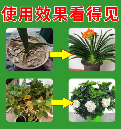 Soil activator, loosening essence, flower pot loosening, improving soil hardening, water-soluble fertilizer, mineral source, potassium fulvic acid activation treasure, rooting agent, rooting and seedling strengthening agent, 1 bottle