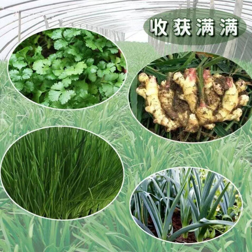 Jieyunmao universal succulent green radish vegetable planting nutritious organic soil 30Jin Jin is equal to 0.5kg balcony vegetable soil store manager