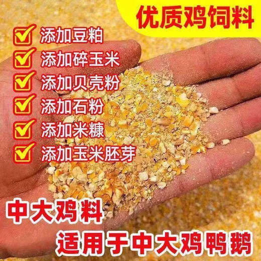 Cat factory direct sales 100Jin Jin is equal to 0.5kg High protein chicken, duck and goose feed corn wheat bran fattening and laying eggs to give back to fans (one day) 50Jin Jin is equal to 0.5kg (active)