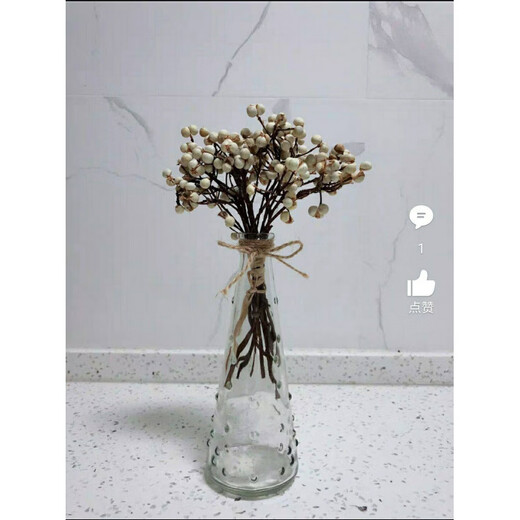 Jatu Dace Dried Flowers, Dried Branches, Small White Fruits, Chinese Tallow Fruit Bouquets, Flower Arrangements, Pine Tree Decorative Branches, Plants, Christmas Trees, Nordic Style Bouquets, This Year’s New Harvest of Small White Fruits, 1Jin Jin is equal to 0.5kg (15-25cm), Dried Flower Package