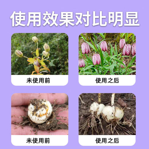 Yonghuan Fengzetong Fritillaria special soil conditioning rooting, strong seedlings and dead trees control soil-borne root rot, 6 bags and 1 bag free (7 bags in hand)