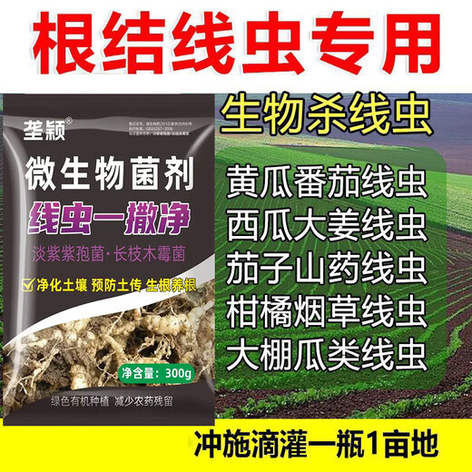 垄颖根结线虫专用药根腐病根线净淡紫紫孢菌淡紫拟青霉根腐根瘤冲施肥 【10袋装】量大更优惠