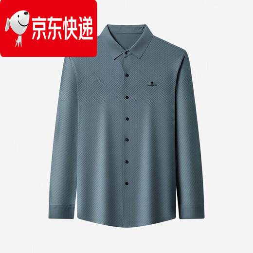 Biyinlefen official men's long-sleeved shirt 2025 spring and autumn new business casual no-iron anti-wrinkle stripes flagship official flagship official blue ZC6803-1 one size fits all 165