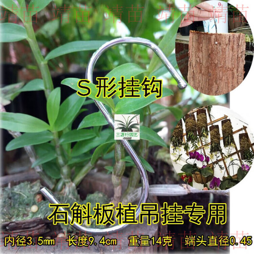 Dendrobium hanging planting, fir bark board, fir board, fir board instead of snake board, special planting for dendrobium, fir board 50x9-10cm, 3 boards, holes drilled at both ends with wire hooks