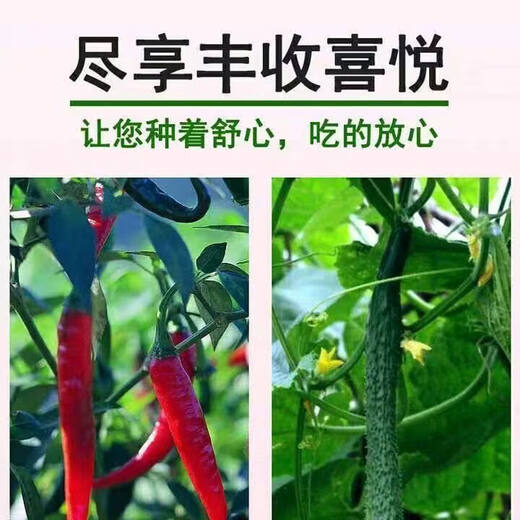 Jieyunmao universal succulent green radish vegetable planting nutritious organic soil 30Jin Jin is equal to 0.5kg balcony vegetable soil store manager