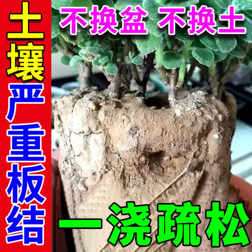 Soil activator, loosening essence, flower pot loosening, improving soil hardening, water-soluble fertilizer, mineral source, potassium fulvic acid activation treasure, rooting agent, rooting and seedling strengthening agent, 1 bottle