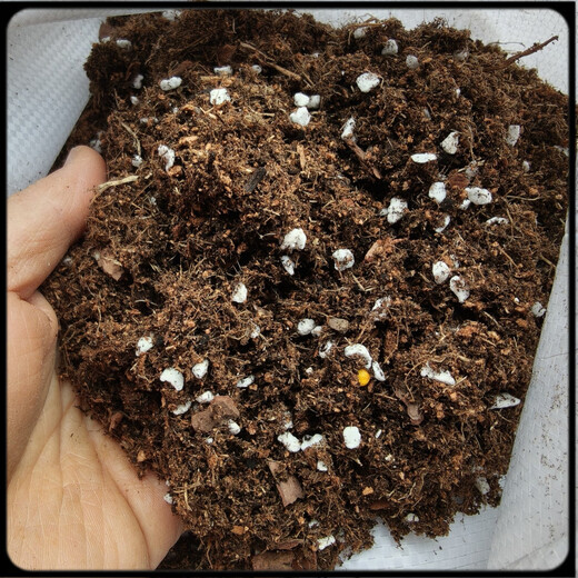 Universal nutrient soil Han Jie's own granular soil, fleshy granular soil, flower and green plant nutrient soil, customized 12 liters of universal nutrient soil for flowers and green plants (general for fleshy roots)