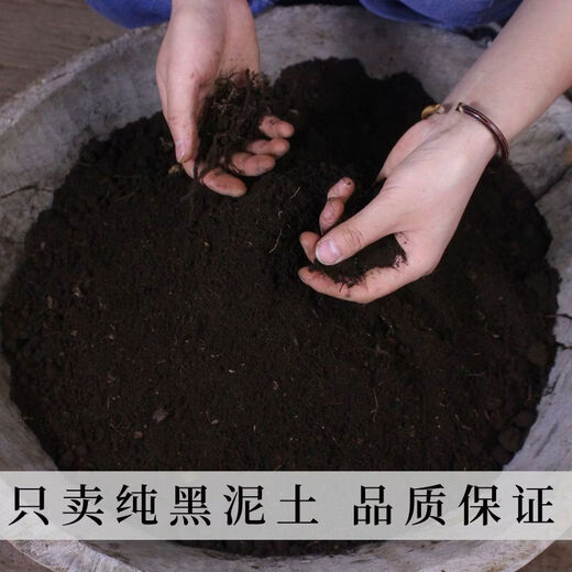 Huai Chang Mountain Black Soil Northeastern Black Soil Original Ecological Planting Vegetable Seedling Pure Soil Fertilizer Long-term Fertilization-Free Original Ecological Pure Soil 10 Jin Jin is equal to 0.5 kilograms 9 points 5 Jin Jin is equal to 0.5 kilograms