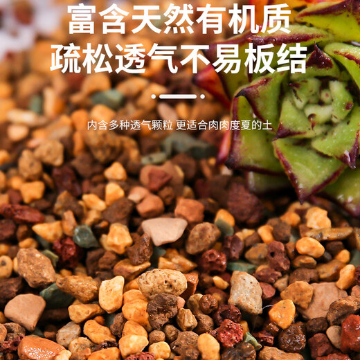 Succulent soil special granular nutritional soil meat deer swamp soil flower cultivation peat tung raw sand sunrise stone old pile master soil leaf inserting seedlings suitable nutritional soil 5Jin Jin is equal to 0.5 kg