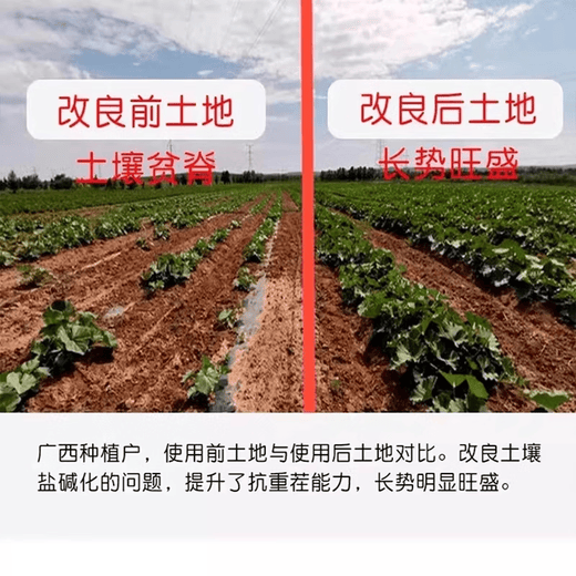 Loosening essence, soil loosening activator, preventing hardening, deep tillage-free artifact, promoting growth, black hydrated fertilizer, universal type, 5 bags to eliminate hardening, available for 15 acres