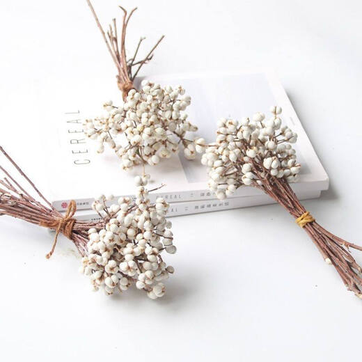 Jatu Dace Dried Flowers, Dried Branches, Small White Fruits, Chinese Tallow Fruit Bouquets, Flower Arrangements, Pine Tree Decorative Branches, Plants, Christmas Trees, Nordic Style Bouquets, This Year’s New Harvest of Small White Fruits, 1Jin Jin is equal to 0.5kg (15-25cm), Dried Flower Package