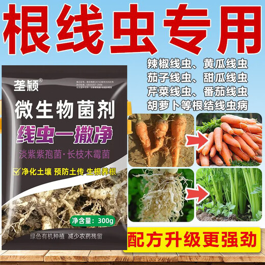 垄颖根结线虫专用药根腐病根线净淡紫紫孢菌淡紫拟青霉根腐根瘤冲施肥 【10袋装】量大更优惠