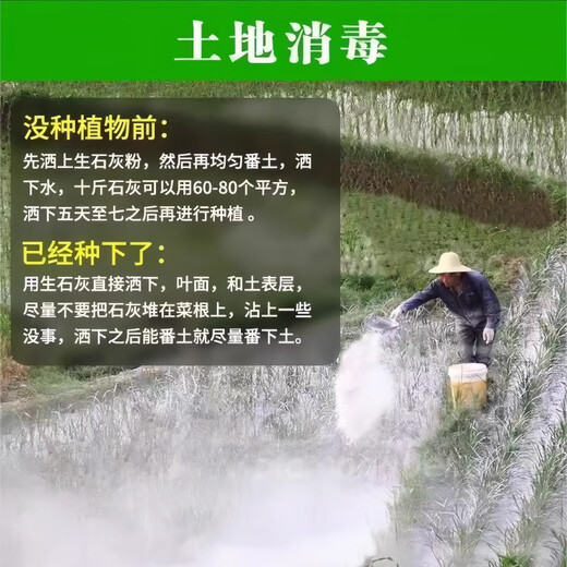 Jingxi Vegetable Special Quicklime Powder Soil Vegetable Land Insect Control Improve Soil Height Quicklime Sprinkle Insect-Free Quicklime Powder 2OJin Jin is equal to 0.5 kg