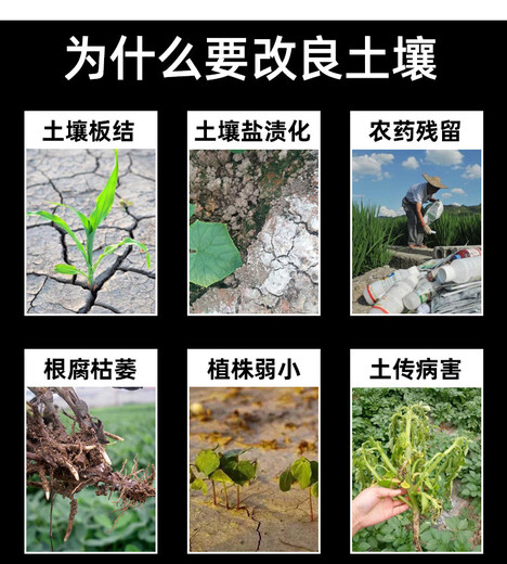 Soil conditioner improves hardened saline-alkali land, general alkaline soil conditioner, loosening essence, loosening activator, improves soil + roots and strengthens seedlings