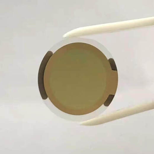 Electrochemical measurement analysis chip EQCM-D5MHz Gold microbalance q-Sensor chip QSX301