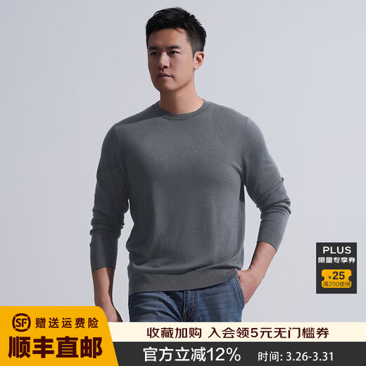 Longya Yinzhi Yunrong Merino wool round neck/V neck/half turtleneck sweater autumn and winter men's casual top, dark gray (round neck) M 175/96A