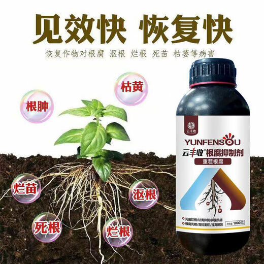 Yunfeng Harvest Root Rot Agent Root Rot Damping Down Leaf Rot Root Dead Tree Rooting Activation Soil Disease Prevention 10006 Bottles Select