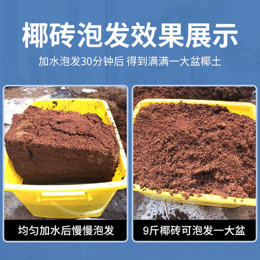 Coconut brick nutritious soil for growing vegetables, universal desalted coconut bran chunks, brick soil, turtle hibernation flower cultivation soil, Inner Mongolia sheep manure organic fertilizer 9.6Jin Jin is equal to 0.5kg powder type (0.2kg)