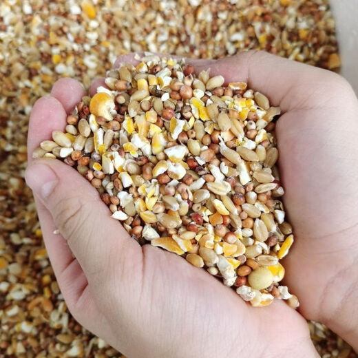 Sorghum, wheat and chopped corn mixed with chicken, corn crushed residue, corn grits, chicken and duck grain, pigeon grain, rabbit, pig, hamster, 5 Jin Jin is equal to 0.5 kg (sorghum + wheat + chopped corn mixed)