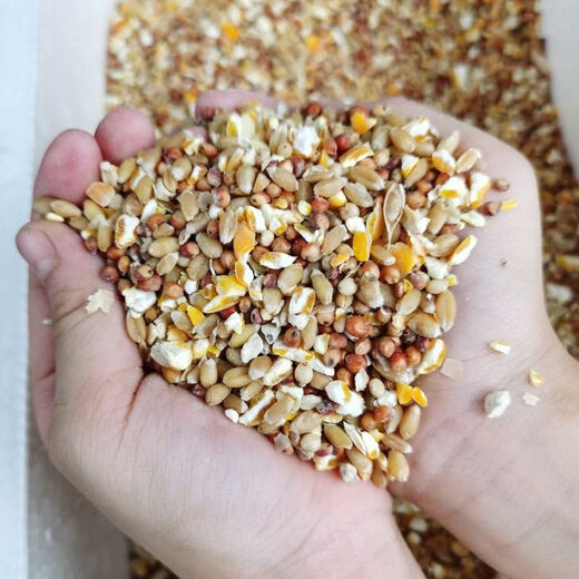Sorghum, wheat and chopped corn mixed with chicken, corn crushed residue, corn grits, chicken and duck grain, pigeon grain, rabbit, pig, hamster, 5 Jin Jin is equal to 0.5 kg (sorghum + wheat + chopped corn mixed)
