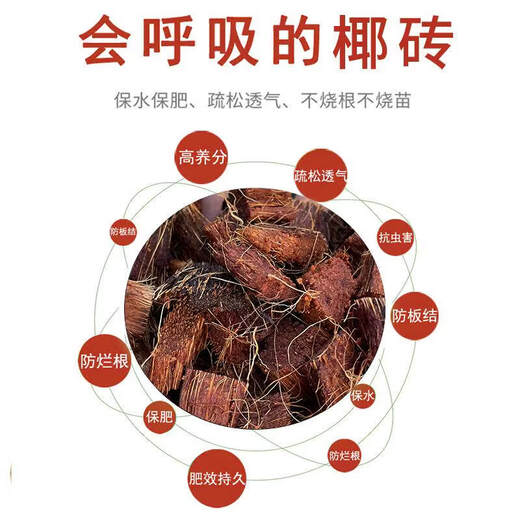 Coarse coconut shell bricks, special nutritious soil for orchids, Phalaenopsis plant material, succulent soil flowers, Clivia, coconut bran, desalted coconut bricks, high-quality imported large coconut bricks, 5 pieces, discount
