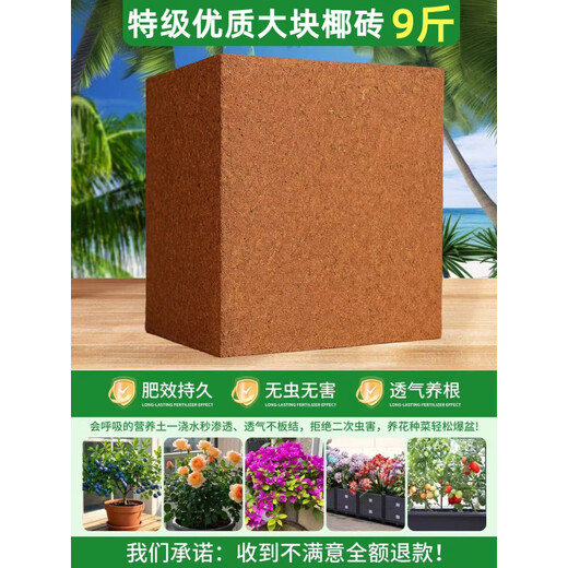 Large Coconut Brick 9 Jin Jin is equal to 0.5 kg Nutritious Coconut Soil Vegetable General Desalted Coconut Brick Soil Turtle Gardening Soil Planting Soil Large Coconut Brick 27 Jin Jin is equal to 0.5 kg Three large coconut bricks in total