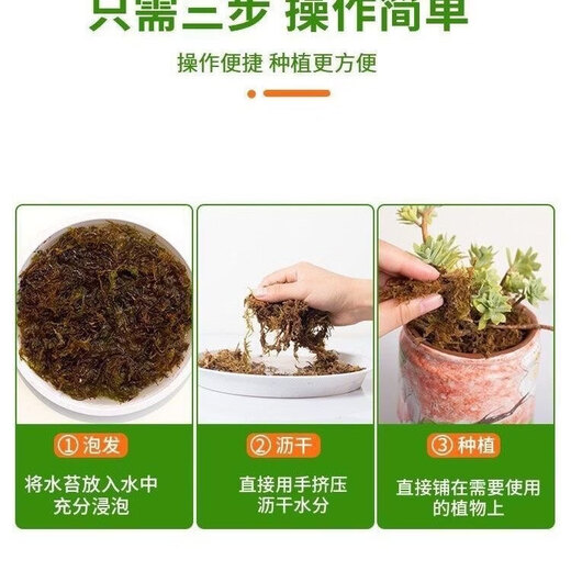 Natural dry dry moss moss orchid Phalaenopsis planting Dendrobium flower pot special nutrition soil Phalaenopsis Special selection 12L sphagnum moss 2 packs