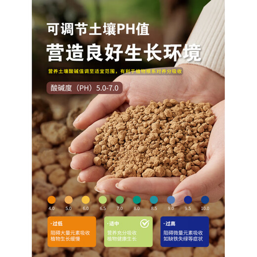 Red jade soil Sanbenxian particles Japan imported succulent soil nutritious soil bonsai special weathered soil paving stone climbing pet filtered quality Sanbenxian 3-6mm5Jin Jin equal to 0.5 kg