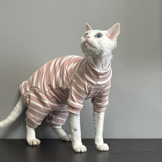 Weiji's new hairless cat clothes for spring and autumn Sphynx German curly cats and kittens pure cotton belly protection four-legged clothing four-legged striped thin section M-medium [recommended within 5-7Jin [Jin equals 0.5kg]]
