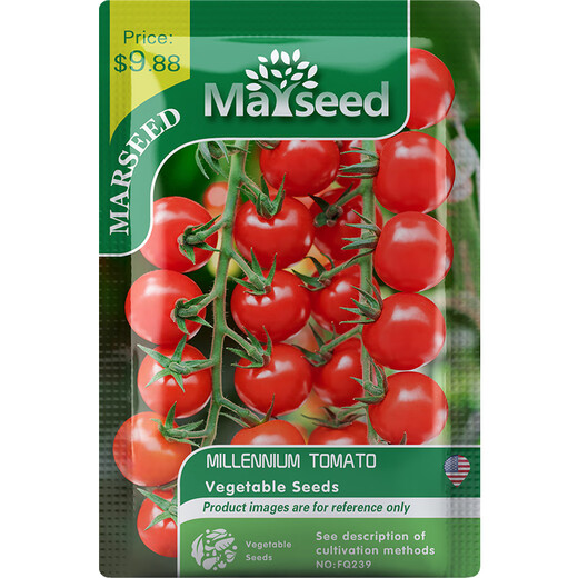 Imported Sweet Million Sweet Appetizer Small Cherry Cherry Tomato Large Tomato Dwarf Tomato Seeds American Super Sweet Millennium 20-30 F1 F1 High Yield