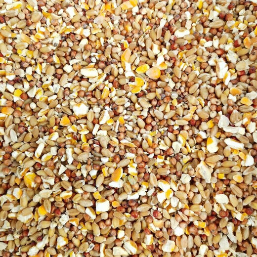 Sorghum, wheat and chopped corn mixed with chicken, corn crushed residue, corn grits, chicken and duck grain, pigeon grain, rabbit, pig, hamster, 5 Jin Jin is equal to 0.5 kg (sorghum + wheat + chopped corn mixed)