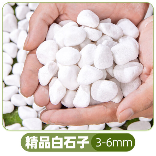 Colored ceramsite bottom ceramsite soil for flower cultivation, special filter flower pot, fish tank bottom sand, hydroponic small ceramsite pavement for gardening, diameter 3-6mm, fine paving white stone 5Jin Jin equals 0.5kg
