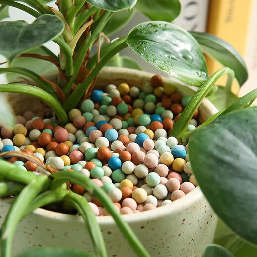 Colored ceramsite bottom ceramsite soil for flower cultivation, special filter flower pot, fish tank bottom sand, hydroponic small ceramsite pavement for gardening, diameter 3-6mm, fine paving white stone 5Jin Jin equals 0.5kg