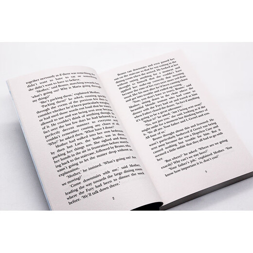 穿条纹睡衣的男孩 英文原版小说 the boy in the Striped Pyjamas 青少年课外阅读