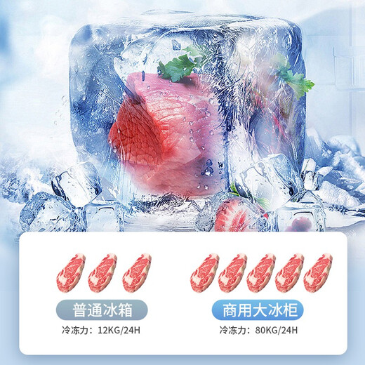 冰诺玺冰柜商用大容量冷冻柜家用卧式冷柜大容量冷藏冷冻展示柜商用冷冻柜商用冷柜 728双温1730*650*850(冷藏冷冻)