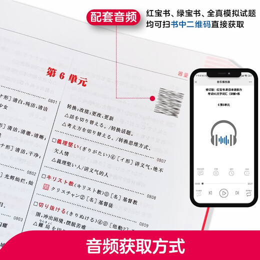 日语红蓝宝书系列 红宝书蓝宝书新日本语能力考试N1套装 文法语法 文字词汇(详解+练习)（套装共2册）红宝书赠音频