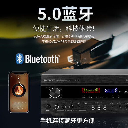 SAST DT-9200 power amplifier for home use high-power fixed-impedance KTV subwoofer karaoke conference performance professional fever-grade HIFI power amplifier 2000W flagship version + microphone